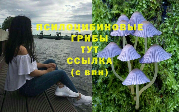 Альфа ПВП Алапаевск