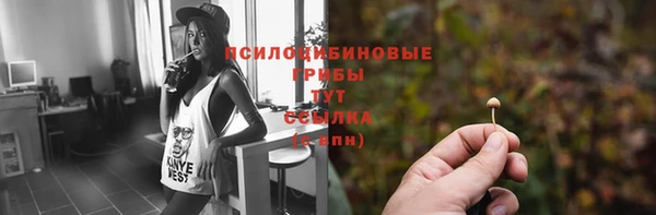 метадон Алагир