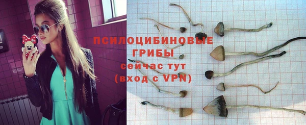 соль ск Аксай