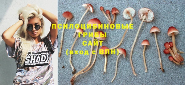 метадон Алагир