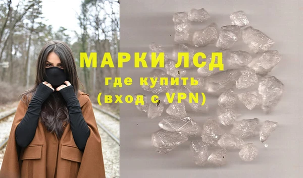 СК Бердск
