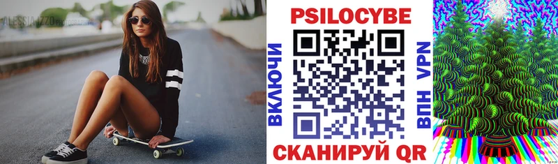 Псилоцибиновые грибы GOLDEN TEACHER Дно